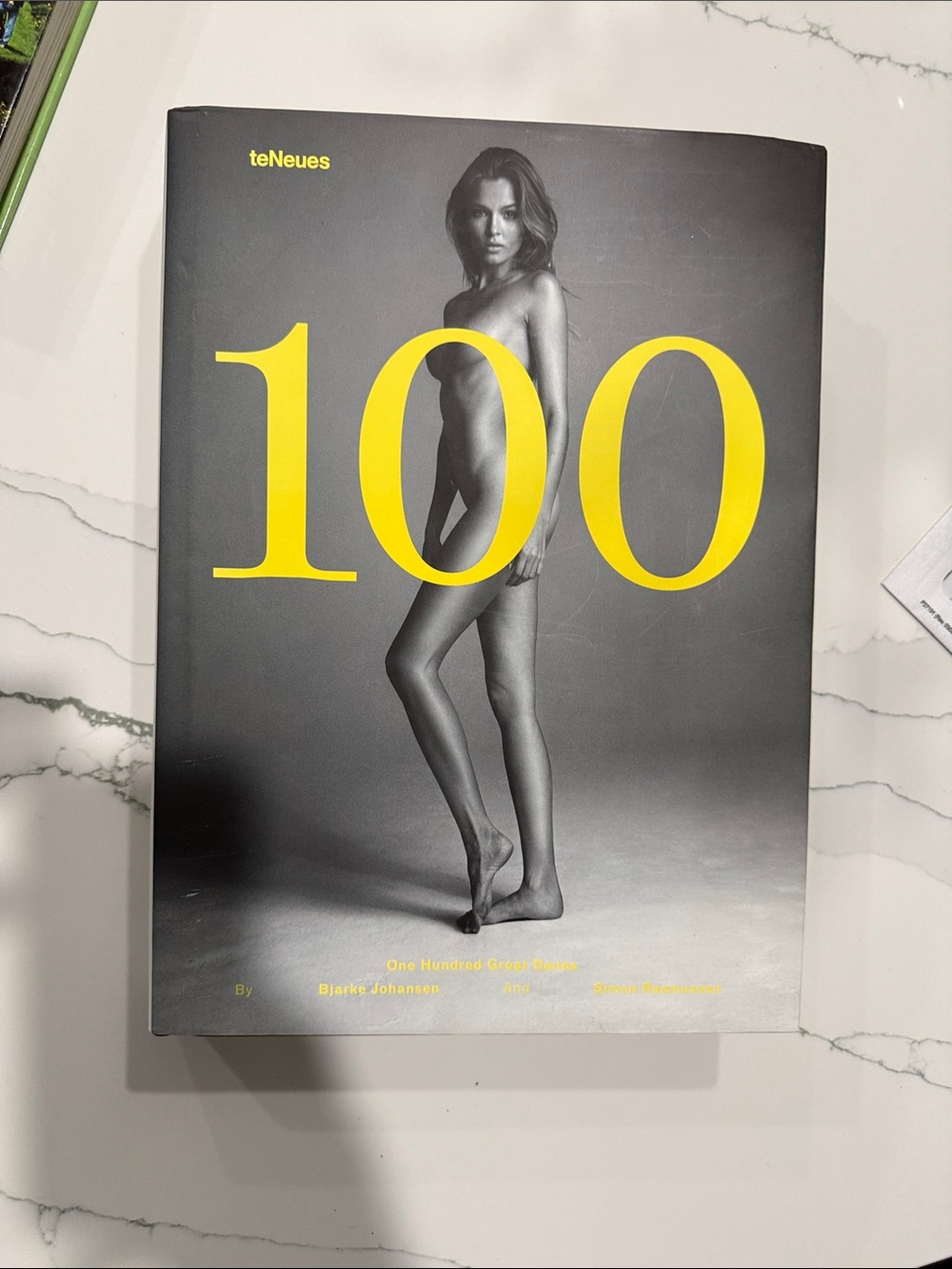 100 Great Danes by Bjarke Johansen and Simon Rasmussen